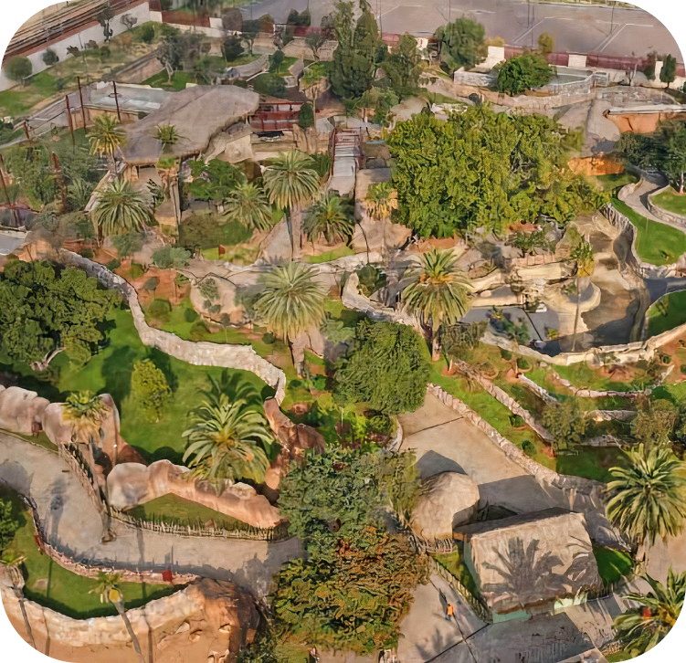Landscaped area within Ain Sebaa Zoo, showcasing greenery.